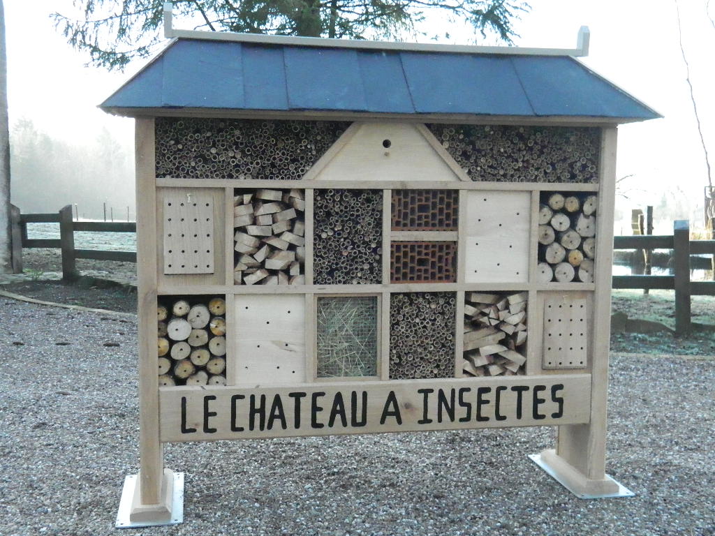 chateau à insectes