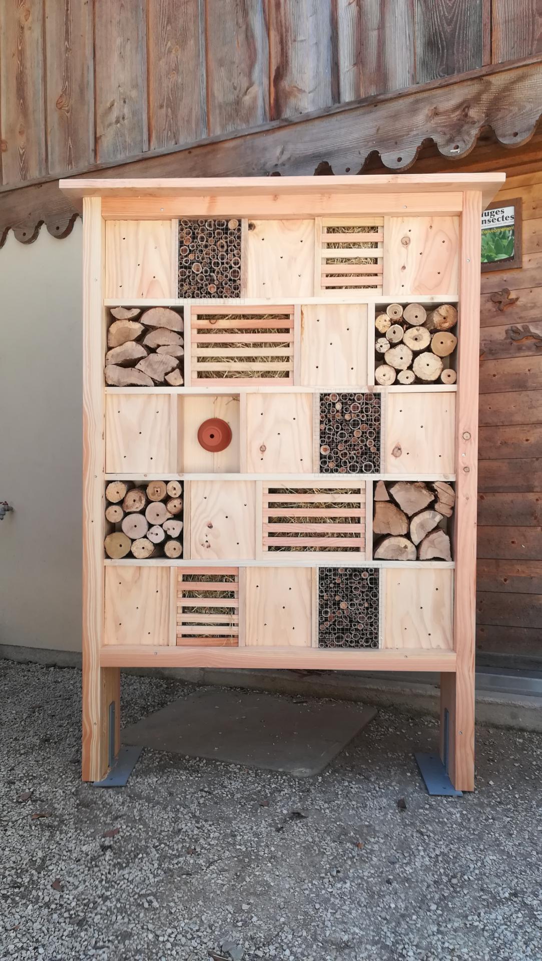 Armoire a insectes 4