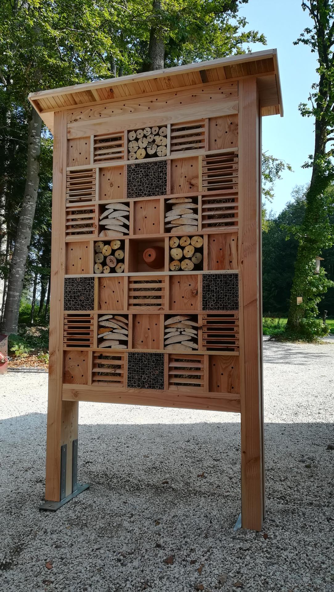 Armoire a insectes