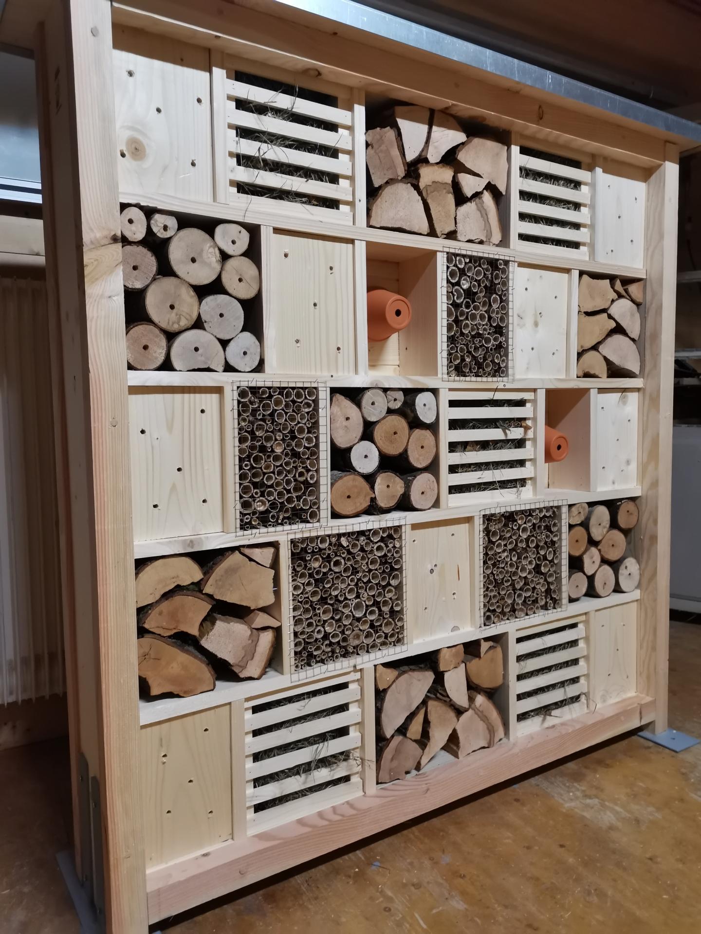 Armoire aux insectes 1