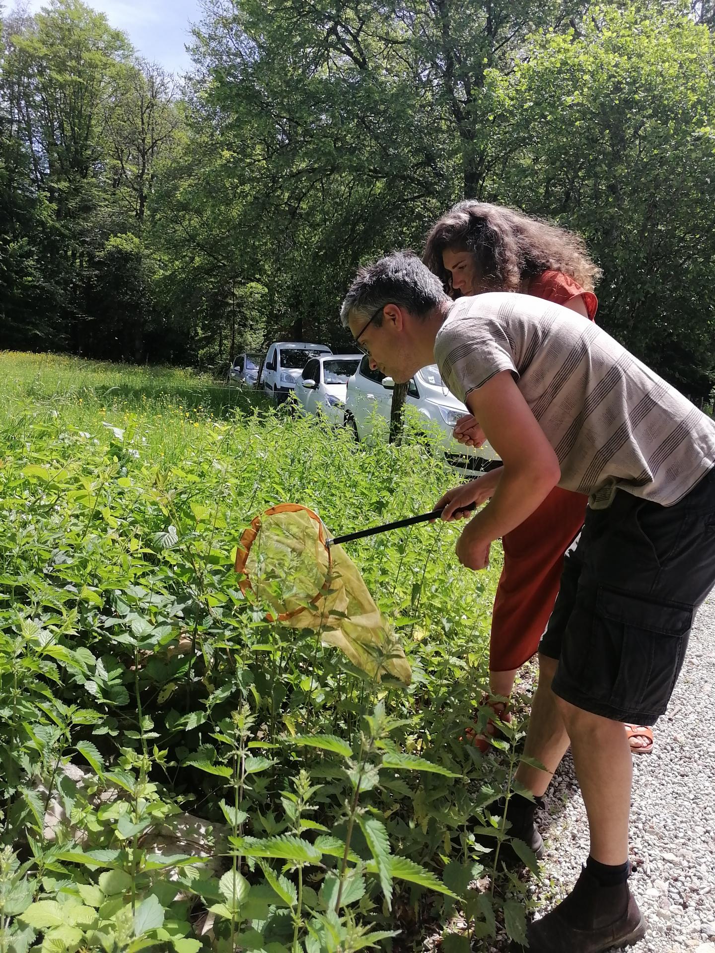 Chasse aux insectes